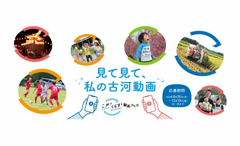 ピックアップ記事 